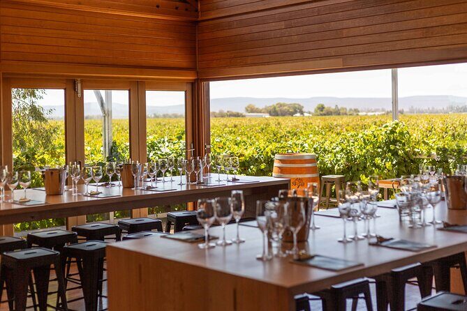 Wine Tasting Experience - What to Expect from the Yarran Wines Tasting Tour