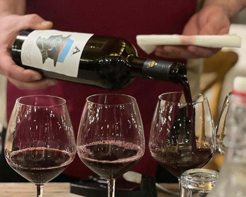 Wine Tasting Experience at Alpeta Winery - Key Points