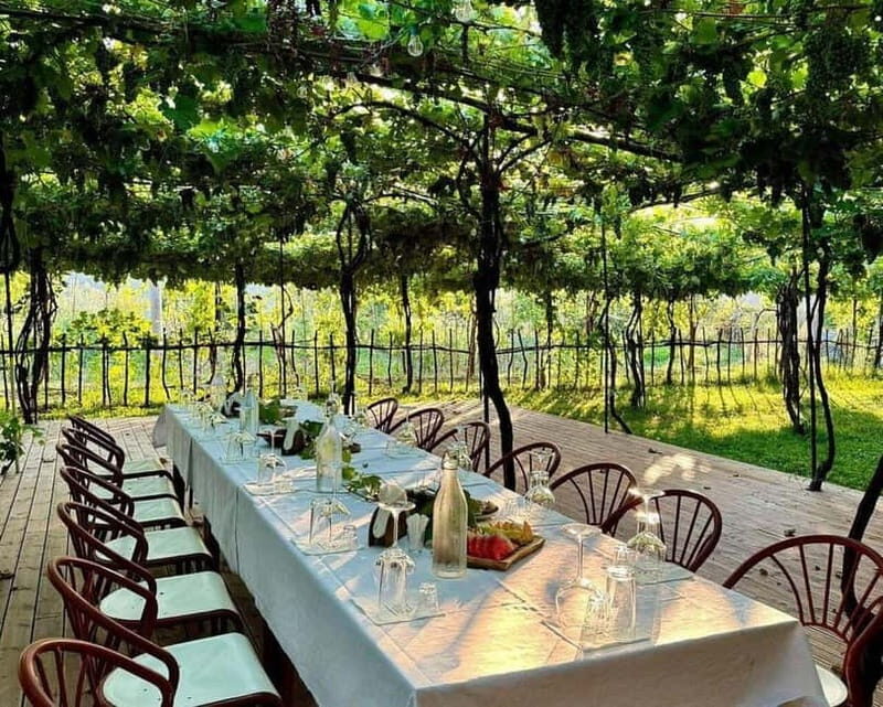 Wine Tasting Experience at Alpeta Winery - What You Can Expect from the Tour