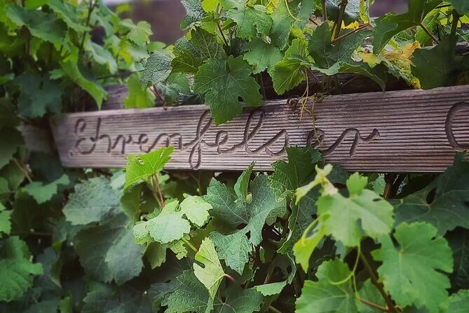 Wine Tasting Experience at Every Man and His Dog Vineyard - Group Size and Atmosphere