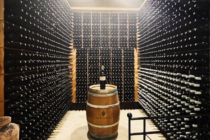 Wine Tasting Experience for Small Groups from Palermo - Final Thoughts