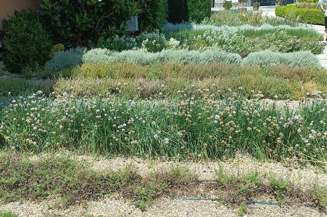 Wine Tasting Experience from Thessaloniki - Key Points