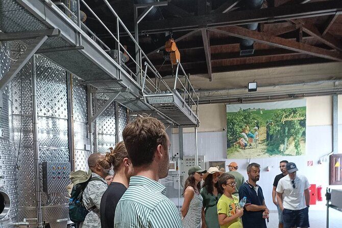 Wine Tasting Experience from Thessaloniki - Final Thoughts