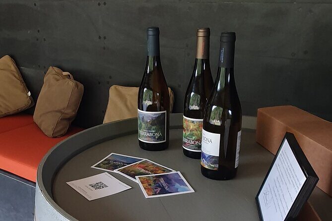 Wine Tasting Experience in Boaventura, Madeira North Coast - Key Points