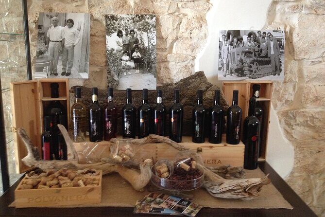 Wine tasting experience in the Apulian countryside - Exploring the Details of the Tour