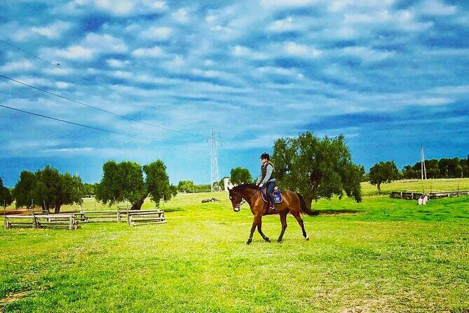 Wine tasting experience in the Apulian countryside - The Logistics and Group Size
