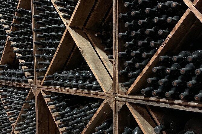 Wine tasting experience in the Apulian countryside - Real Guest Insights