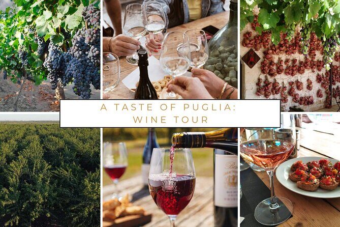 Wine tasting experience in the Apulian countryside - FAQs