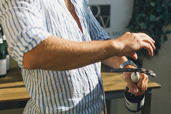 Wine Tasting Experience with a Professional Sommelier in Valencia City Center - Setting the Scene: What to Expect from this Wine Tasting