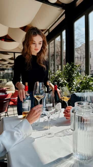 Wine Tasting feel the Difference of Qvevri or Classical Wine - FAQ