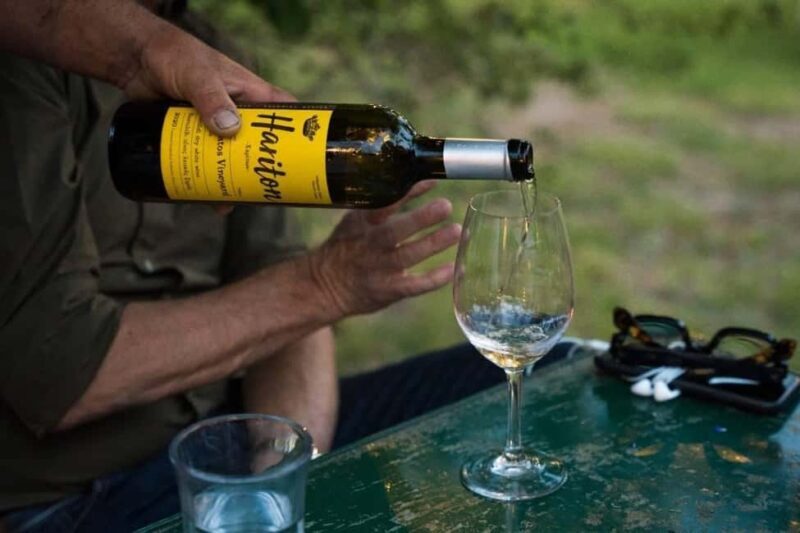 Wine Tasting & Gastronomic Experience at Haritatos Estate - An In-Depth Look at the Haritatos Estate Experience