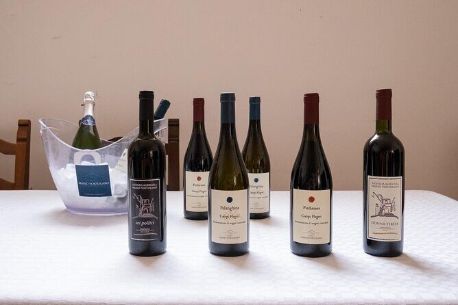 Wine Tasting in Campi Flegrei from Naples - Analyzing the Cost and Value