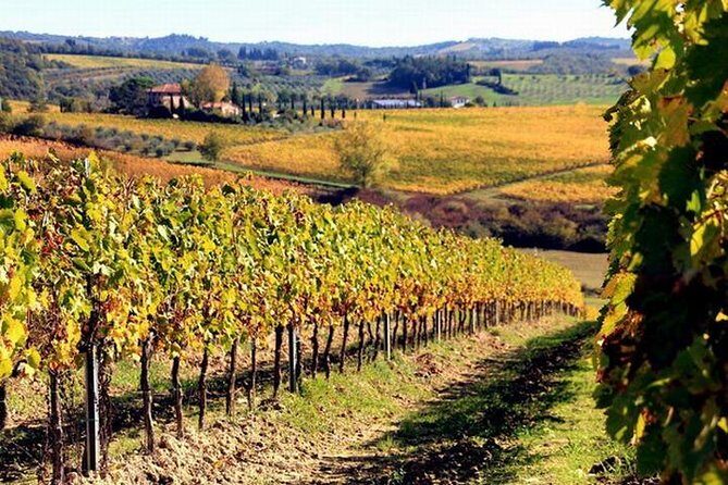 Wine tasting in Chianti, visiting Castellina, in Tuscany from Rome - Exploring Tuscany’s Charm: A Detailed Look at the Chianti Wine and Castellina Tour from Rome
