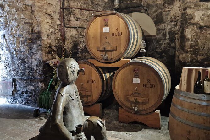 Wine Tasting in Montepulciano Tuscany Private Tour from Rome - The Highlight: Visiting the Ancient Wine Cellar