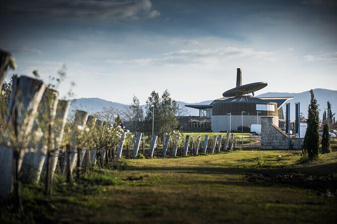 Wine Tasting in Pokolbin with Foodie Adventure - Who Will Love This Experience?