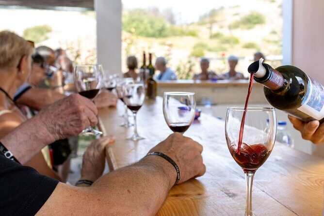 Wine tasting in Rhodes, inside the vineyards with the Producer - The Experience: What to Expect