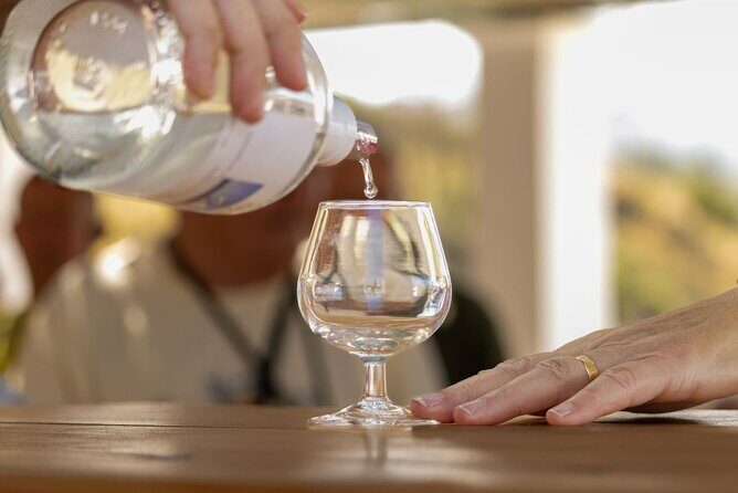 Wine tasting in Rhodes, inside the vineyards with the Producer - Summary