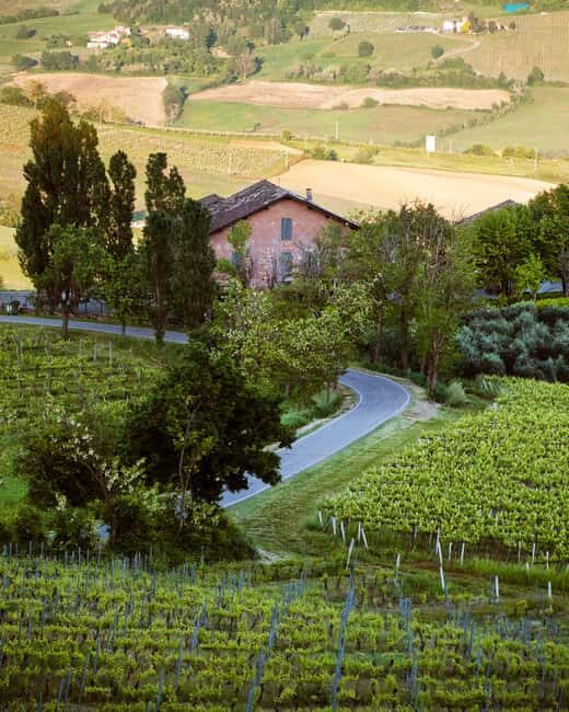 Wine tasting in the cellar - FAQs