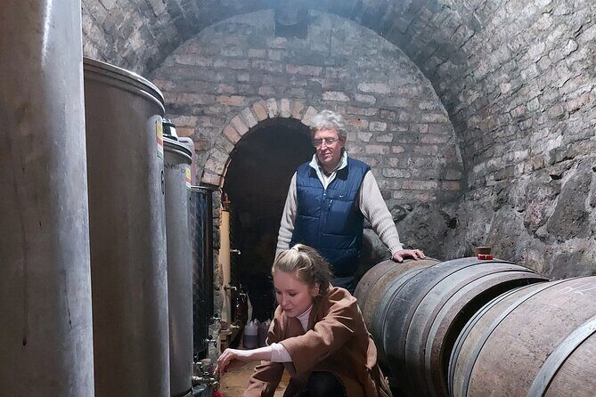 Wine Tasting in the Countryside from Budapest - The Bottom Line