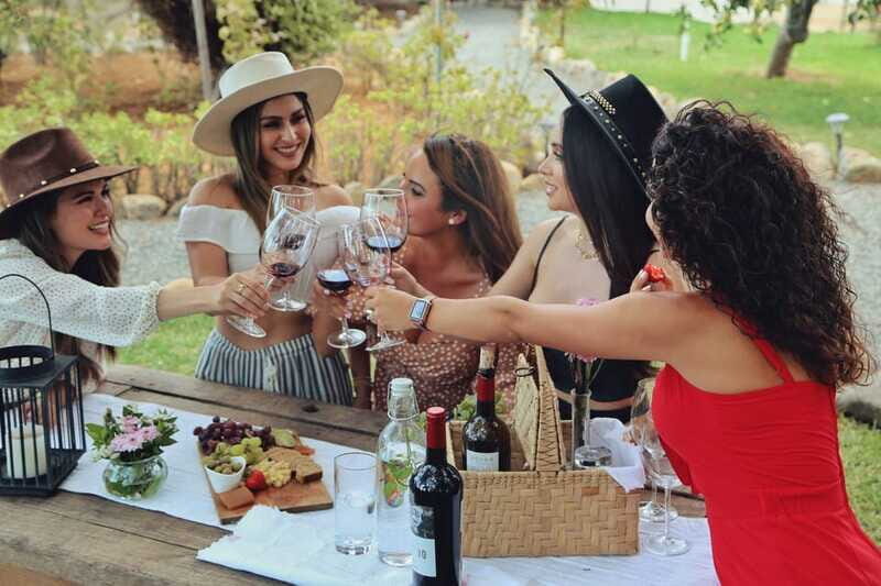 Wine Tasting in the Gardens at Rondo del Valle with vineyard - What the Reviews Say