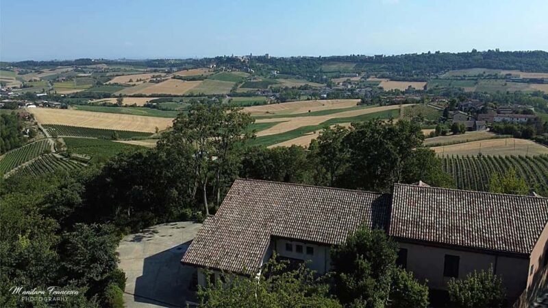 Wine Tasting in the Heart of Monferrato - Discovering Grignolino - A Closer Look at the Experience