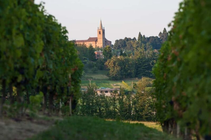 Wine Tasting in the Heart of Monferrato - Discovering Grignolino - The Wines and Their Stories