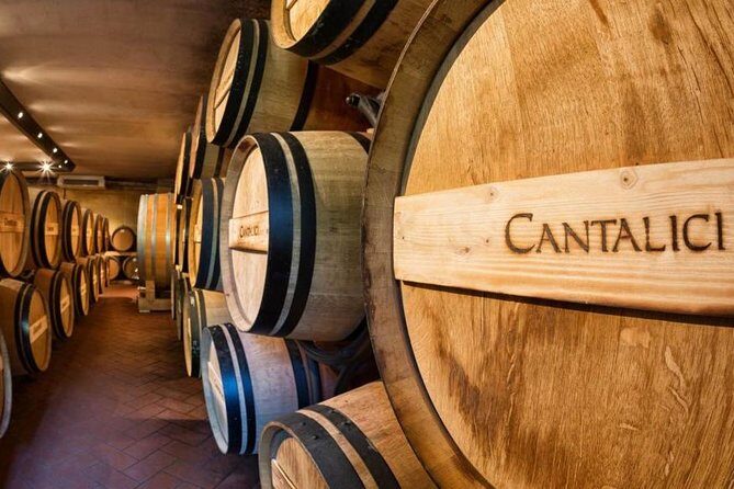Wine tasting in the historical Cantalici winery - What to Expect from Your Visit