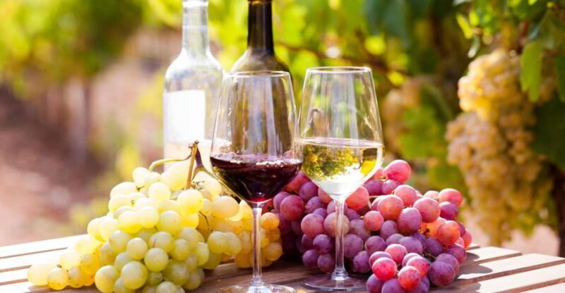 Wine tasting in the Vesuvius National Park - The Experience in Detail