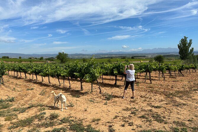 Wine Tasting in Three Boutique Wineries Tour - Max 8 people - An In-Depth Look at the Penedés Small-Group Wine Tour