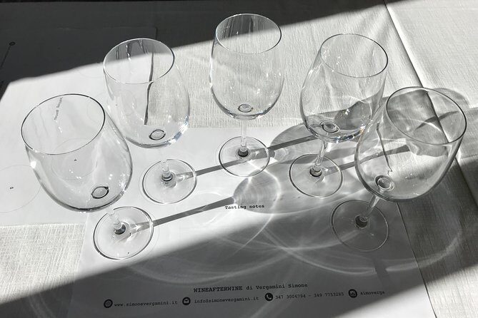 Wine tasting in Versilia with sommelier - 5 wines and local products - An In-Depth Look at the Experience