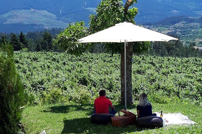 Wine Tasting & Lunch from Porto | Quinta de Santa Cristina - The Experience’s Strengths and Drawbacks
