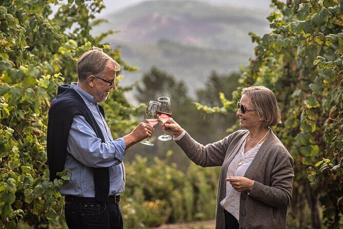 Wine Tasting & Lunch | Quinta de Santa Cristina Vinho Verde - The Itinerary: A Closer Look