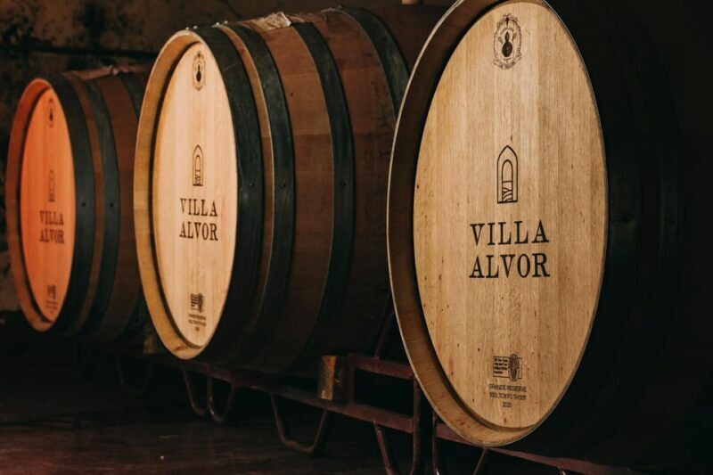 Wine Tasting Off-Road Tour - A Deep Dive into the Algarve Wine Tasting Off-Road Tour