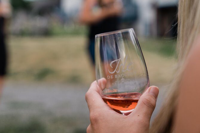 Wine Tasting on Ile d'Orleans - Who Should Consider This Tour?