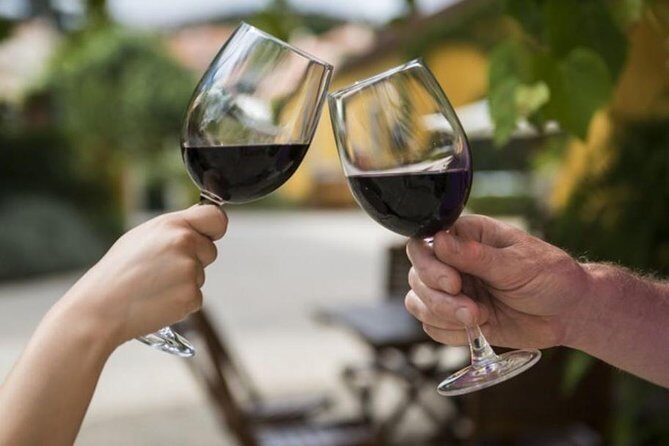 Wine Tasting - Private Half-Day Tour - Key Points