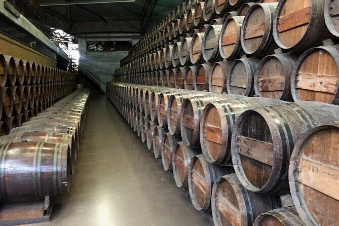 Wine Tasting + Private Tour Coastal Near Lisbon - FAQs