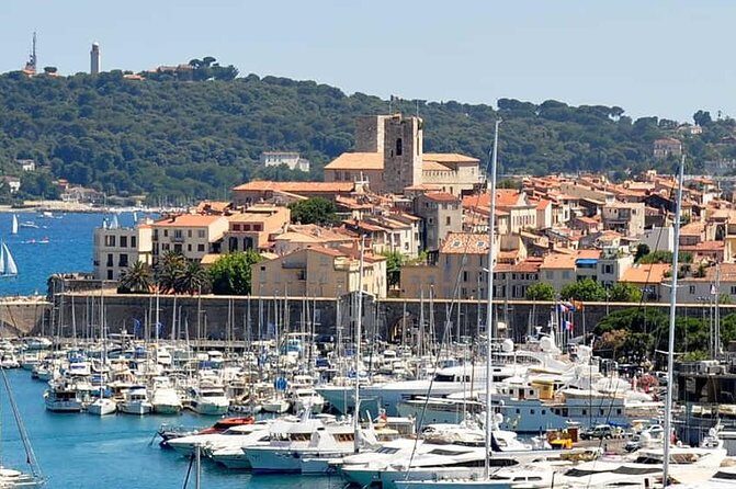 Wine Tasting, Provencal Market, Cannes and St Paul de Vence - Who Is This Tour Best Suited For?