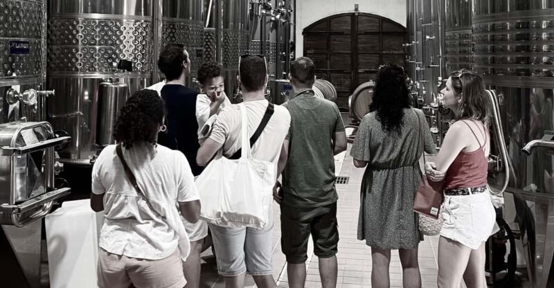 Wine Tasting Saint-Florent & Patrimonio - Value for Money and Practicalities