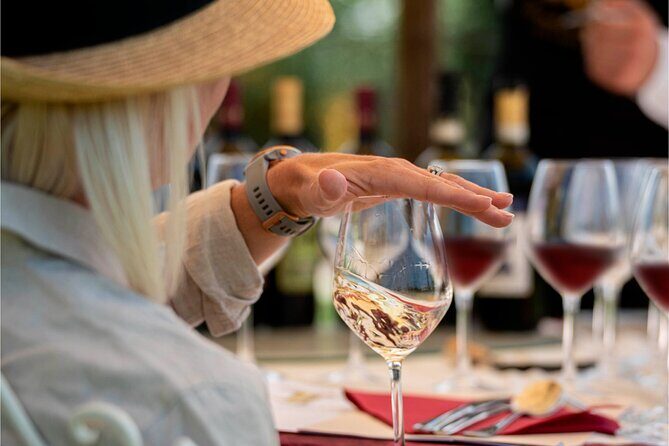 Wine Tasting & Shuttle Service - An In-Depth Look at the Experience