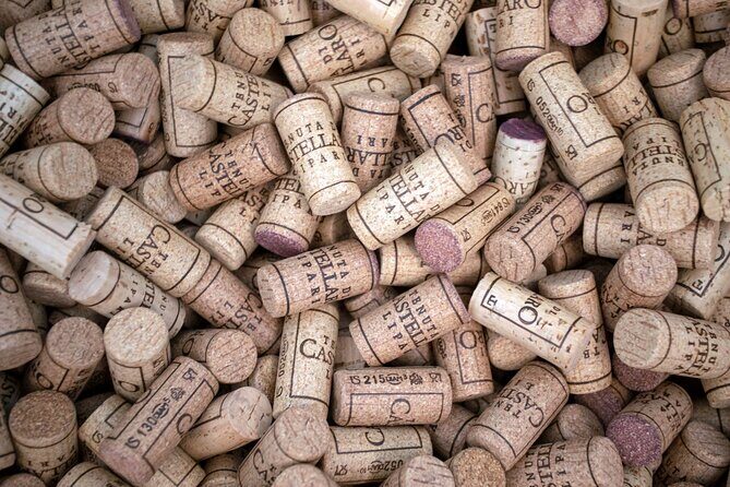 Wine tasting THE CLASSICS - Final Thoughts