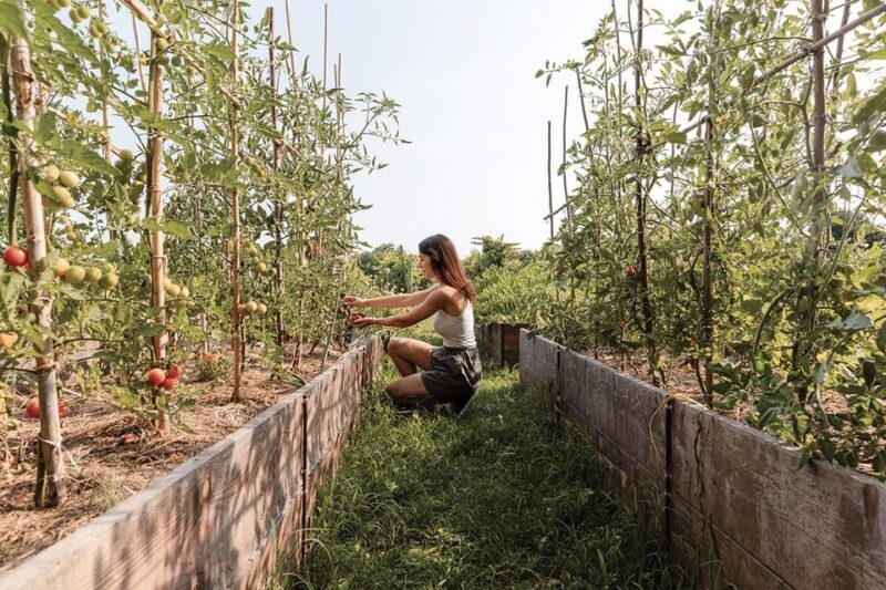 Wine Tasting: the flavors of the Prosecco Hills - The Details That Matter