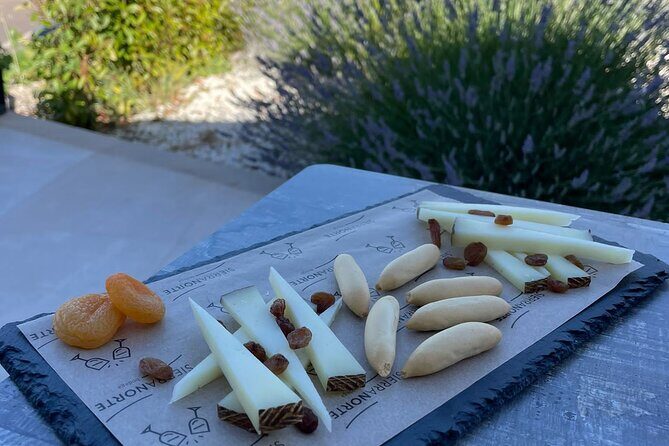 Wine tasting tour - Exploring Valencia’s Wine Tasting Tour: A Detailed Look