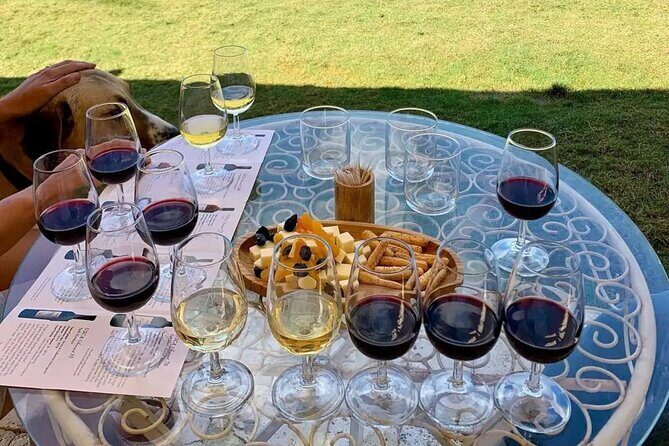 Wine Tasting Tour at Two Wineries in Urla Turkey - The Tasting Experience
