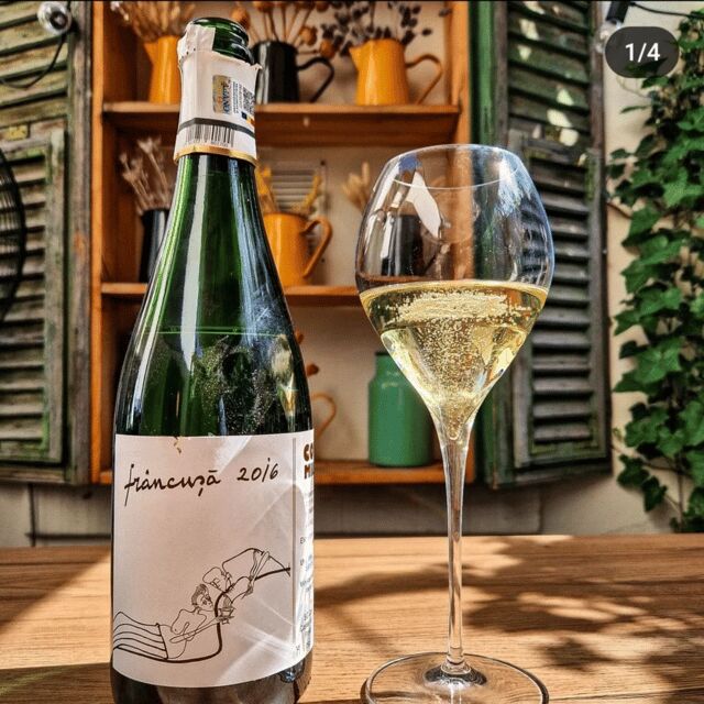 Wine tasting tour - Bucharest - The Experience and Atmosphere