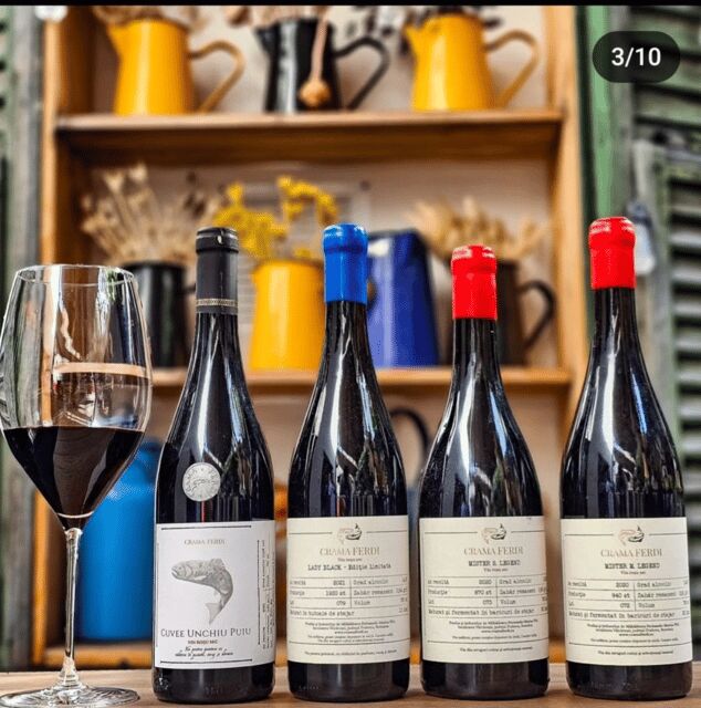 Wine tasting tour - Bucharest - Final Thoughts