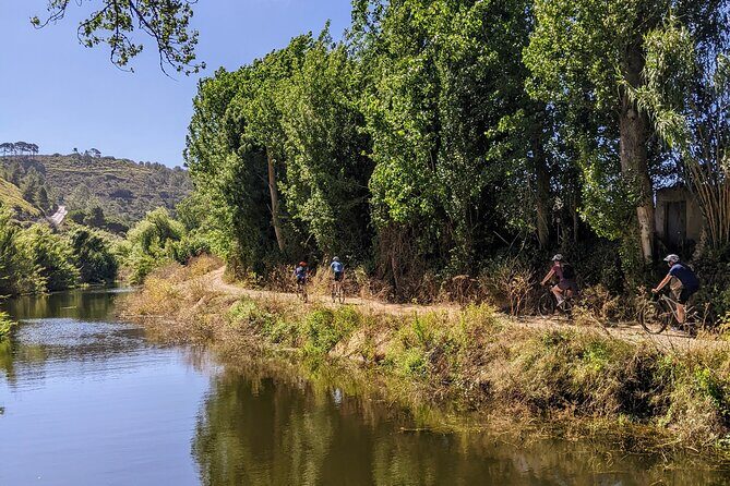 Wine Tasting Tour - An In-Depth Look at the Experience