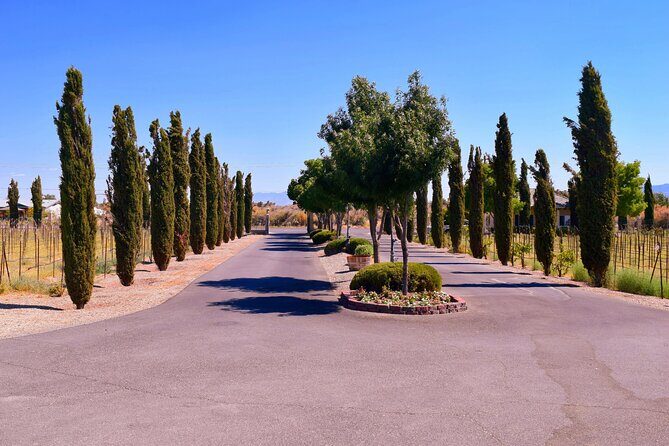 Wine Tasting Tour from Las Vegas with Snacks - Who Is This Tour Best For?
