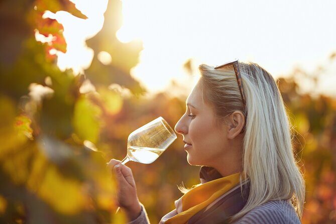 Wine Tasting Tour in Algarve Winery - FAQs
