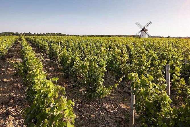 Wine tasting tour in Loire Valley with castle visits and lunch - Final Thoughts