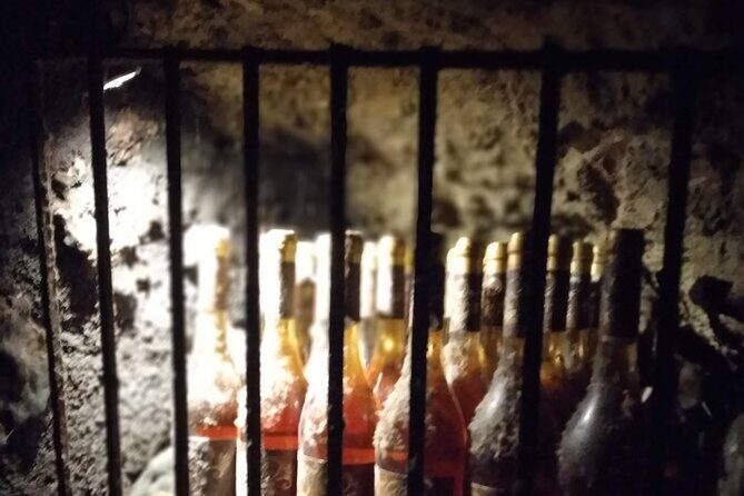 Wine Tasting Tour in Tokaj Wine Region Slovakia. With transport - Starting with the Itinerary: What to Expect